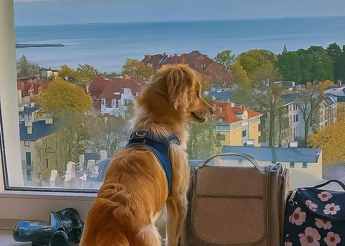 Przy Plaży Z Widokiem Na Morze