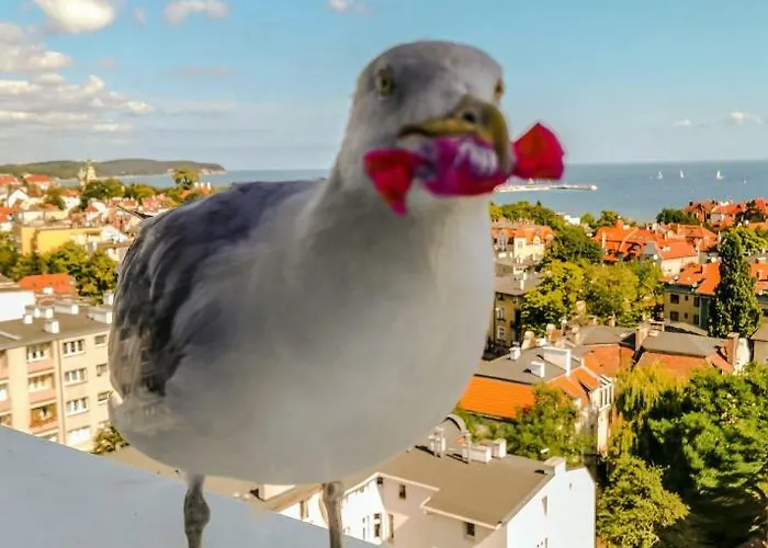 Przy Plaży Z Widokiem Na Morze